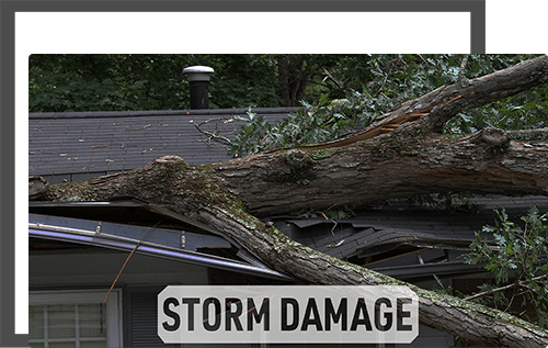 Stormex Images